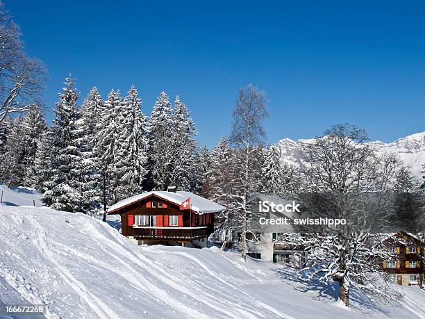 겨울 공유일 하우스 0명에 대한 스톡 사진 및 기타 이미지 - 0명, 겨울, 계절