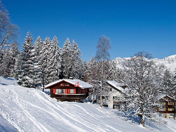 istock Winter holiday house 166672268