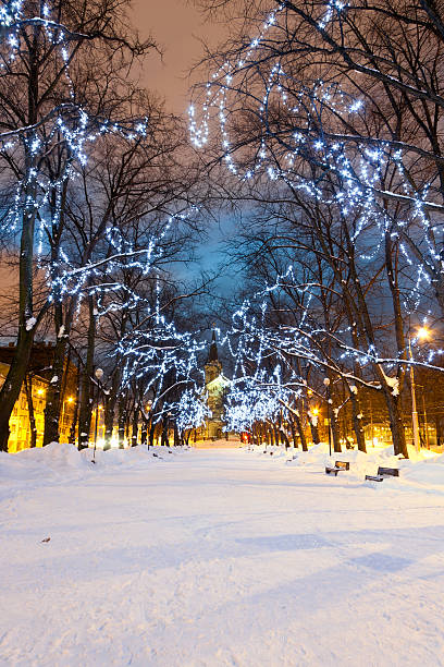 istock Illuminated snowy avenue at night 166672377