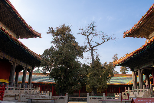 The Confucian temples in Qufu county of Shandong province, China. The classic Chinese ancient buildings, horizontal view