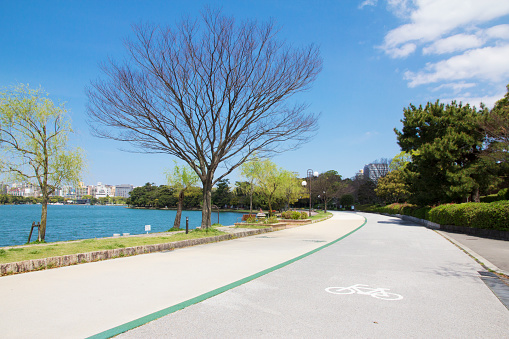 Cycling lane at Ohori Park, Fukuoka Prefecture, Japan