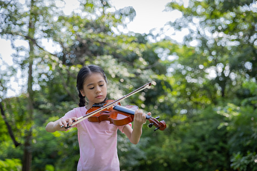 Birds in the trees seem to pause their chirping, as if captivated by the music. A gentle breeze picks up, adding a harmonious undertone to her tune. It's a moment of pure communion between the young girl, her violin, and the splendid nature that envelops them.