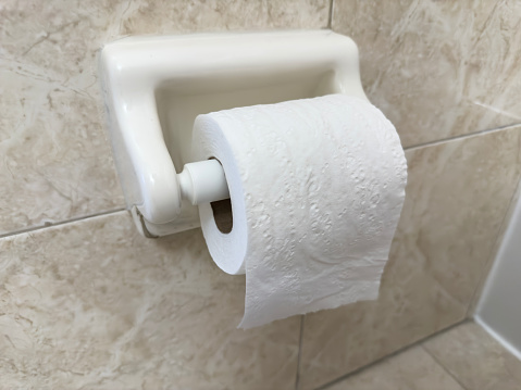 Roll of toilet paper on a wall