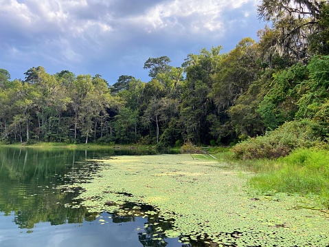 Maclay Gardens State Park in Tallahassee, Florida