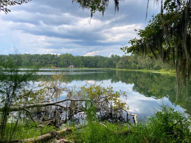 istock Maclay Gardens State Park in Tallahassee, Florida 1666778642