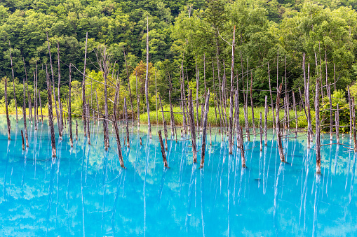 Aoi Ike Scenery in Hokkaido, Japan