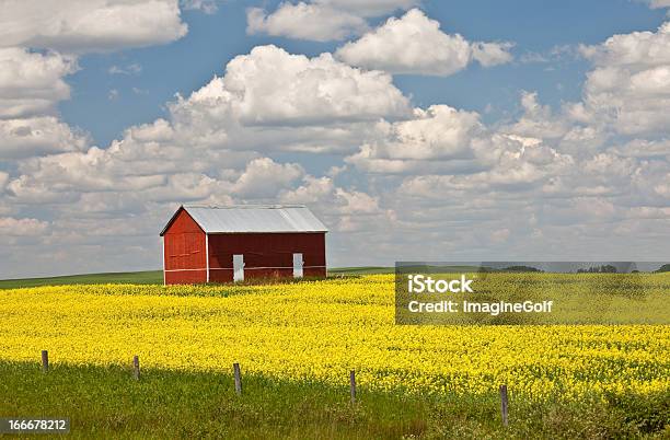 Photo libre de droit de Old Red Remise Sur Les Grandes Plaines banque d'images et plus d'images libres de droit de Agriculture - Agriculture, Beauté, Bleu