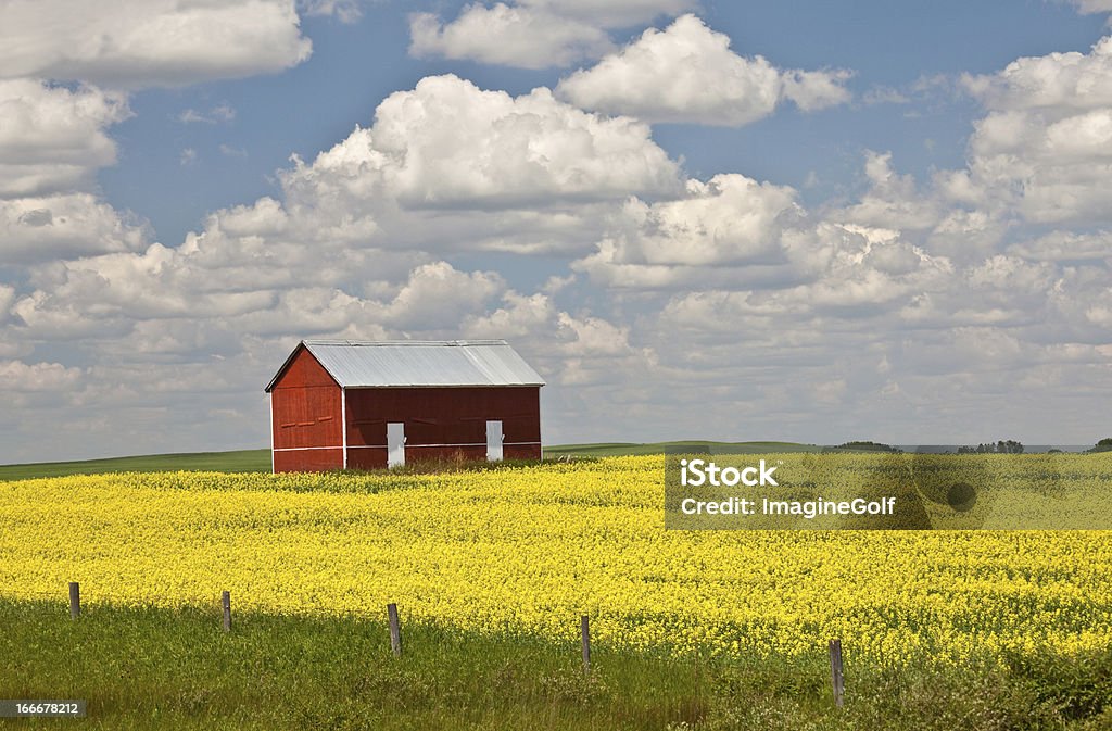 Rosso vecchio capannone sul Great Plains - Foto stock royalty-free di Acerbo