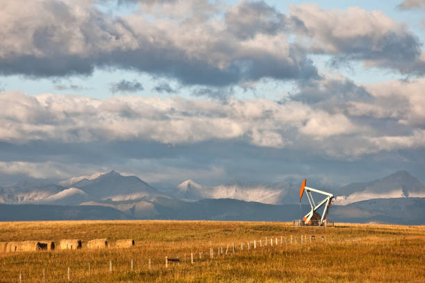 엔진오일 삭구를 장비하다 in 게레로 추락 - oil pump oil industry alberta equipment 뉴스 사진 이미지