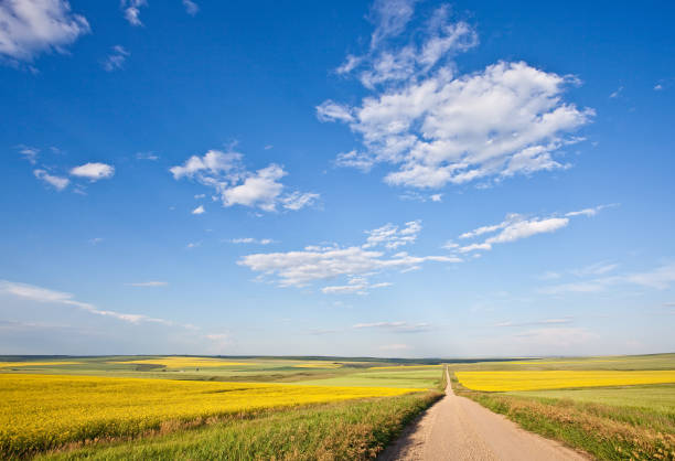 istock Prairie Road Through the Great Plains 166678452