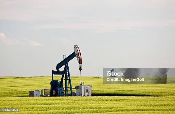 Pumpjack В Поле Пшеницы В Нефтяное Месторождение — стоковые фотографии и другие картинки Нефтяной насос - Нефтяной насос, Нефть, Охрана окружающей среды