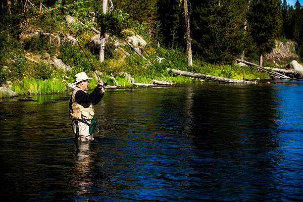 istock Fly Fisherman Whips a Cast into Pristine River 166678476