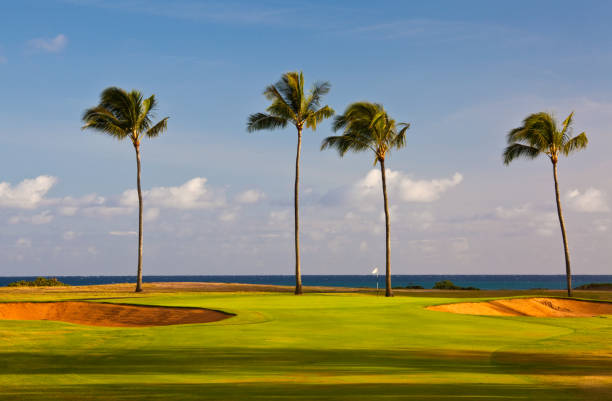 istock Golf Green By the Sea 166678479