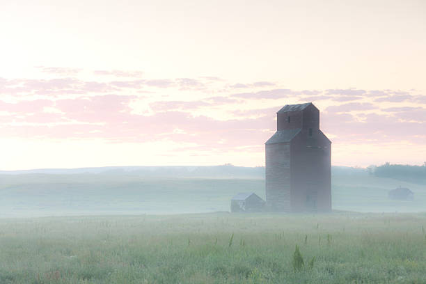プレーリー穀物エレベーターに霧 - canada saskatchewan grain elevator prairie ストックフォトと画像