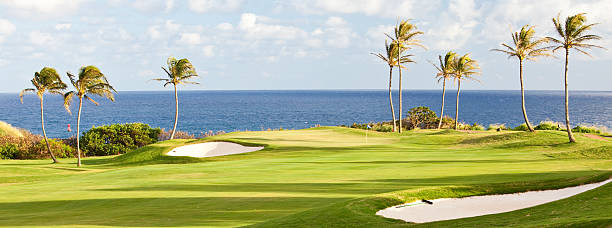 verde golf in riva al mare - golf panoramic golf course putting green foto e immagini stock