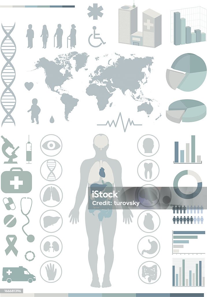 Medical infographics. Presentation set. Human body with internal organs plus buttons. Diagram (graph), cardio gram. The Human Body stock vector