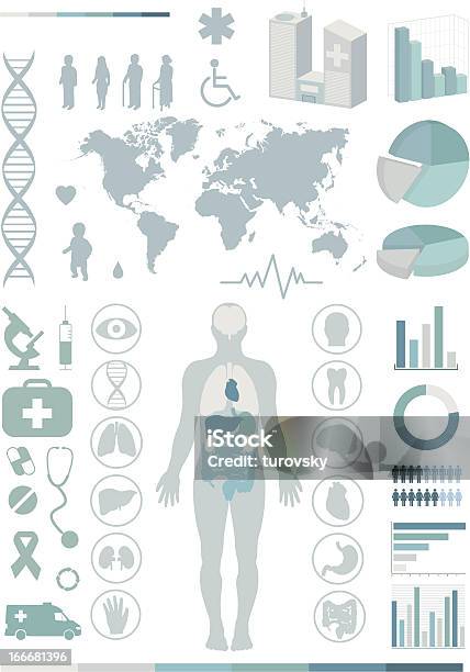 Medical Infographics Stock Illustration - Download Image Now - The Human Body, Infographic, Anatomy