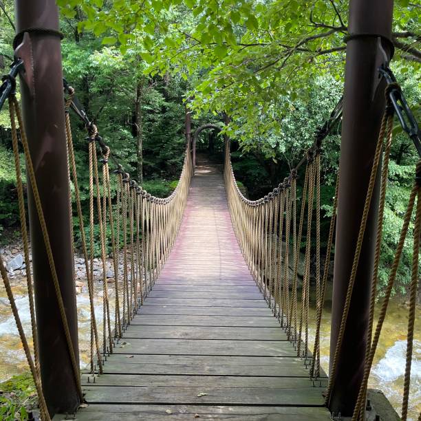 istock A Swing Bridge in the Vally 1666818237