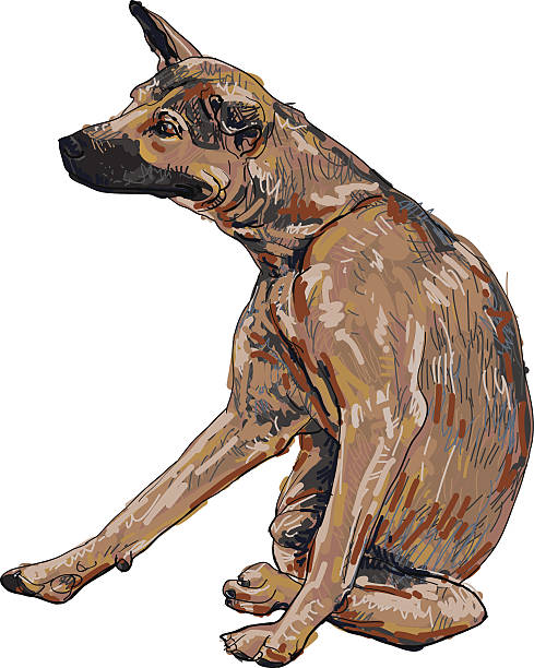 태국인 경견 는 긁음 그자체 - tracing red pets dog stock illustrations