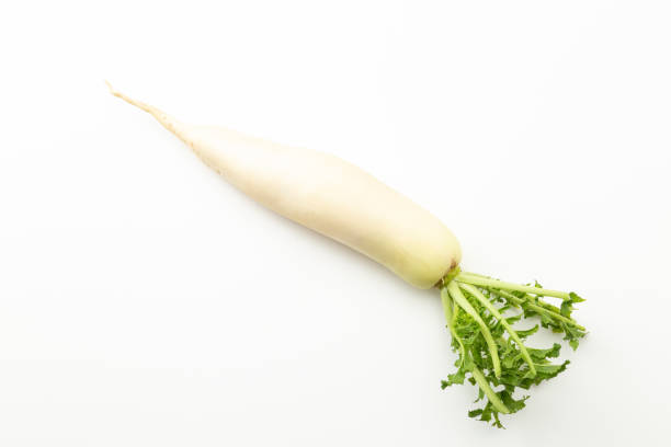 istock Japanese radish on a white background. 1666825053
