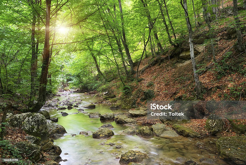 River in mountain River in mountain. Nature composition. Woodland Stock Photo