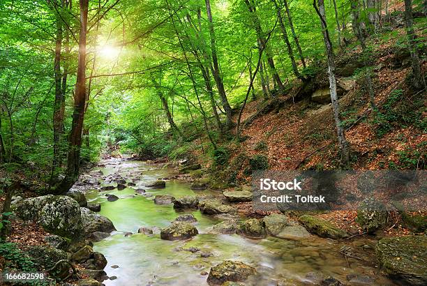 River In Mountain Stock Photo - Download Image Now - Woodland, Stream - Body of Water, Rock - Object