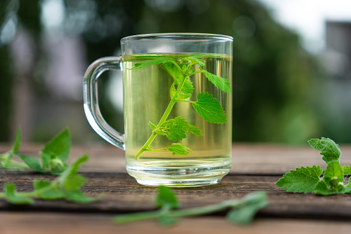 clear glass tea cup on table with green leaves background with soft sunlight in the morning, giving fresh feeling Relaxing and calm, with space for text. hot herbal drink, village, summer,