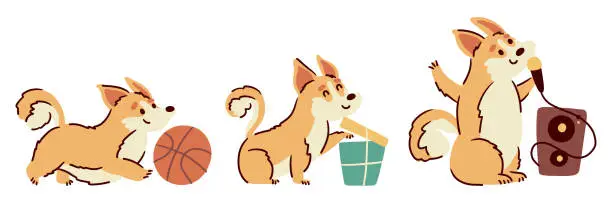 Vector illustration of Welsh corgi dogs . Hand drawn style cartoon characters . White isolate background . Vector .