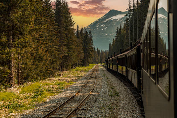 istock White Pass Summit excursion tour train in the mountains, Alaska, USA. 1666863534