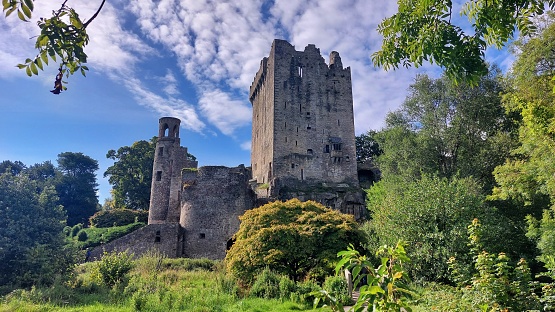 View of Blarney Castle and its watchtowers