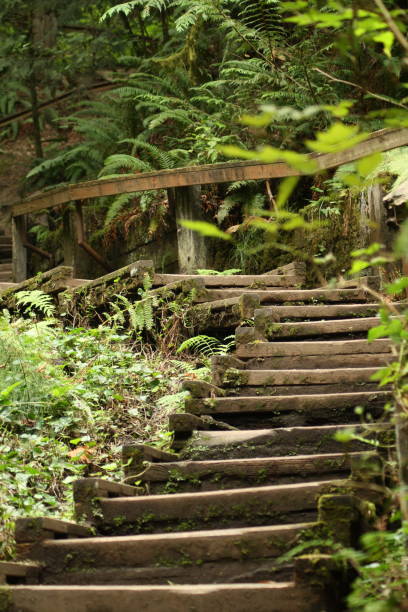 istock Stairway to PNW 1666933609
