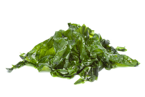 Salted sea lettuce on white background
