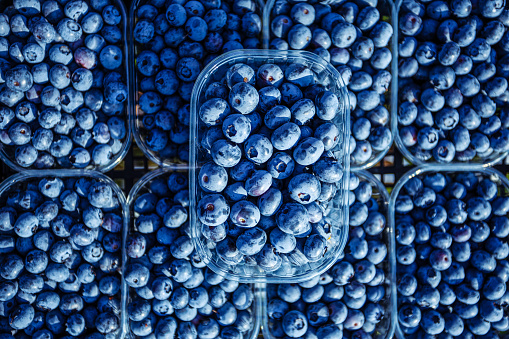 Box or crate with collected fresh blueberries