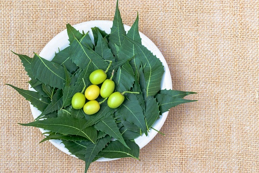 Top View of Neem Leaves or Azadirachta Indica Fruit in a Plate Isolated on Burlap Fabric Background with Copy Space, Also Known as Margosa, Nimtree or Indian Lilac, Uses Ayurvedic Herbal Medicine.