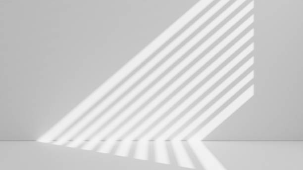istock Shadow overlay from window and plant on white wall background 1667014437