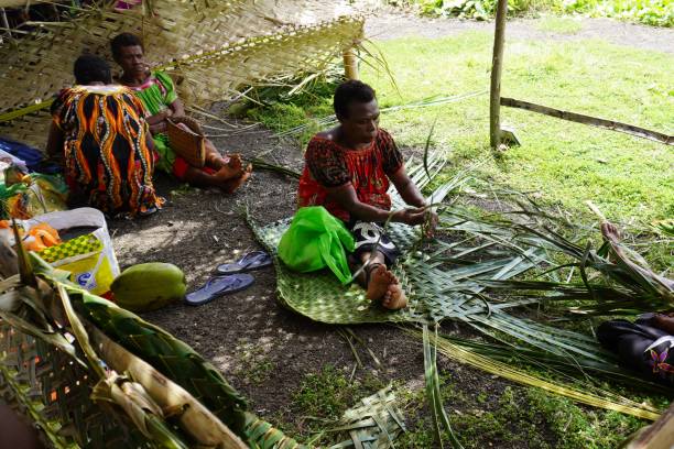 Local Woman engaged in Palm Leaf Weaving Rabaul, East New Britain Province, Papua New Guinea, August 21, 2023.
Goods made from palm leaves feature in many local households new britain island stock pictures, royalty-free photos & images