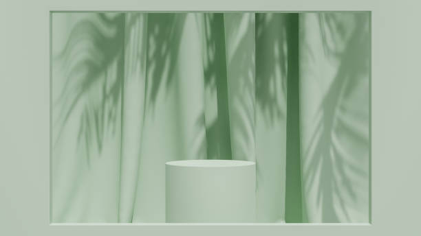 istock Cylinder podium and palm leaf shadow pedestal product display stand background 1667047481