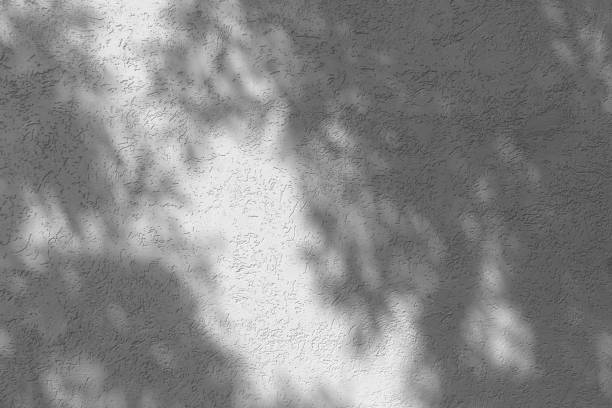 istock shadow of leaves on a light wall 1667060790