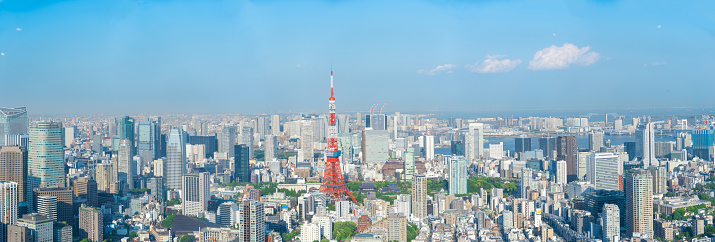 Aerial view of Tokyo, Japan. Photo taken with 42 megapixel professional camera.