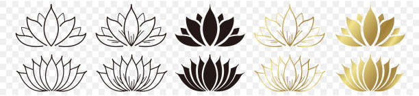 Lotus Flower Gold Black Illustration background vector Lotus Flower Gold Black Illustration background vector 曼荼羅 stock illustrations