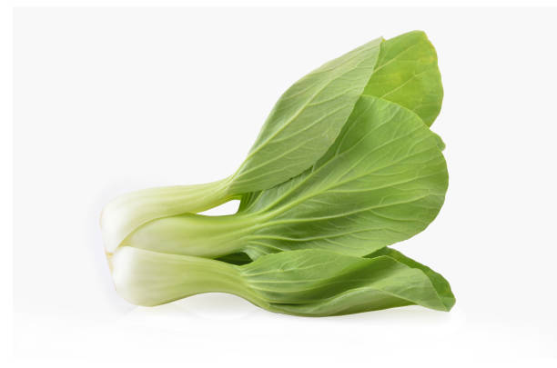 istock Bok choy (chinese cabbage) isolated on white background 1667125550