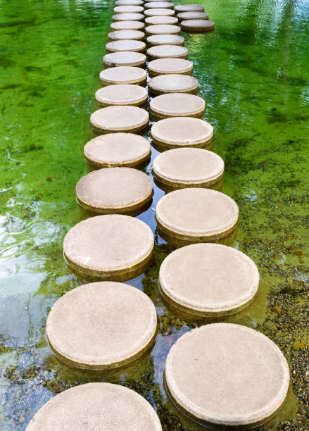 istock Path on the water - Zurichhorn, Zurich 1667141058