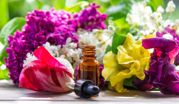 istock Essential oil extract of herbs and flowers. Selective focus 1667145403