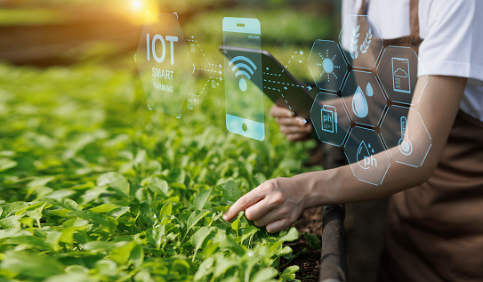 Farmer inspecting and smart farming technology with digital tablet, Hands using technology control of quality with smart digital agriculture concept.