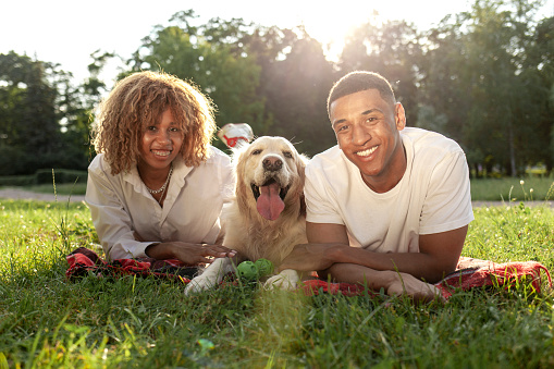 african american happy couple lie together with dog in park in summer, man and woman hug and love golden retriever and smile in nature, young family with pet outdoors