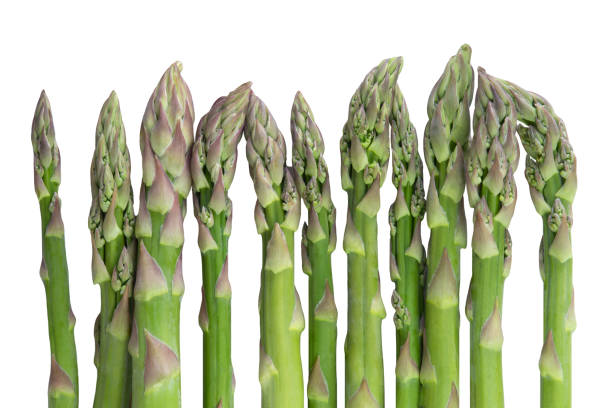 istock A bunch of asparagus isolated on a white background. 1667152877