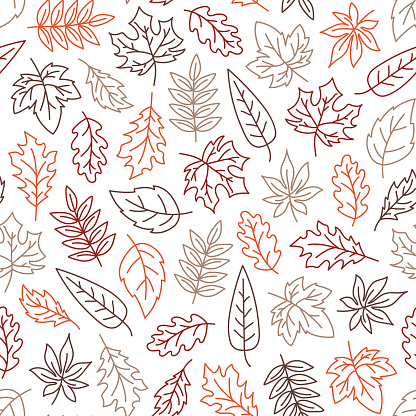 Autumn leaves outline seamless pattern on transparent background