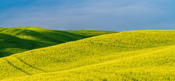 Green tuscan hills in the Orcia Valley in spring