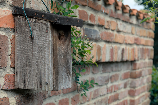 Bird house on a red brick wall with joints in a garden