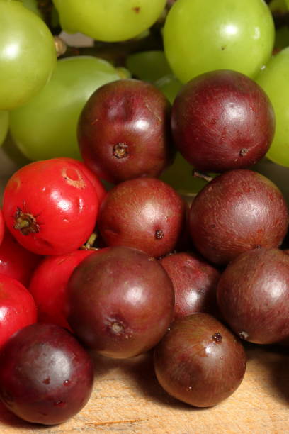 istock Fruits Collection. Healthy Fruits 1667189611